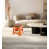 Orange corail