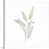 Toile tendue n'est pas disponible