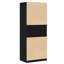Engineered Wood Wardrobe