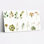 «Botanical Watercolor», ensemble de 1 reproduction d'art sur toile tendue