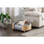 Lit pour animaux de compagnie de style scandinave surélevé pour grands animaux de compagnie, pieds en bois massif, mousse à mémoire de forme à fort rebond et coussin en velours teinté, chien gris moyen facile à installer avec esthétique, dossier courbé, égratignure amovible