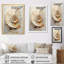 «Abstract Snails Nautilus I» sur toile-97050982-97050983