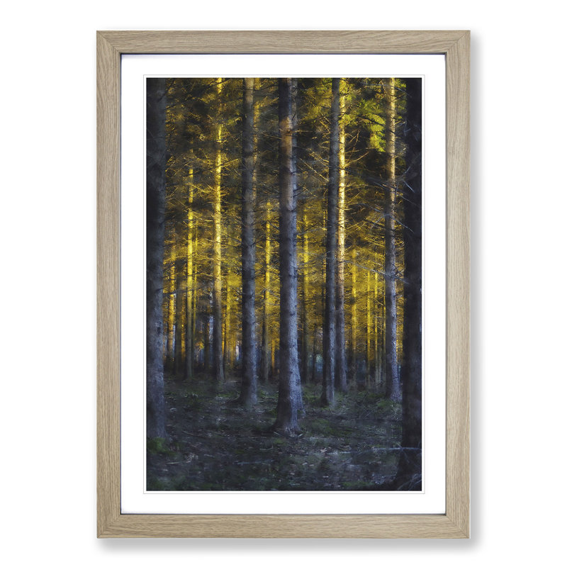 Sunlight Forest Vol.3 - Picture Frame Painting, Oak Framed, 36cm H x 27cm W x 2cm D