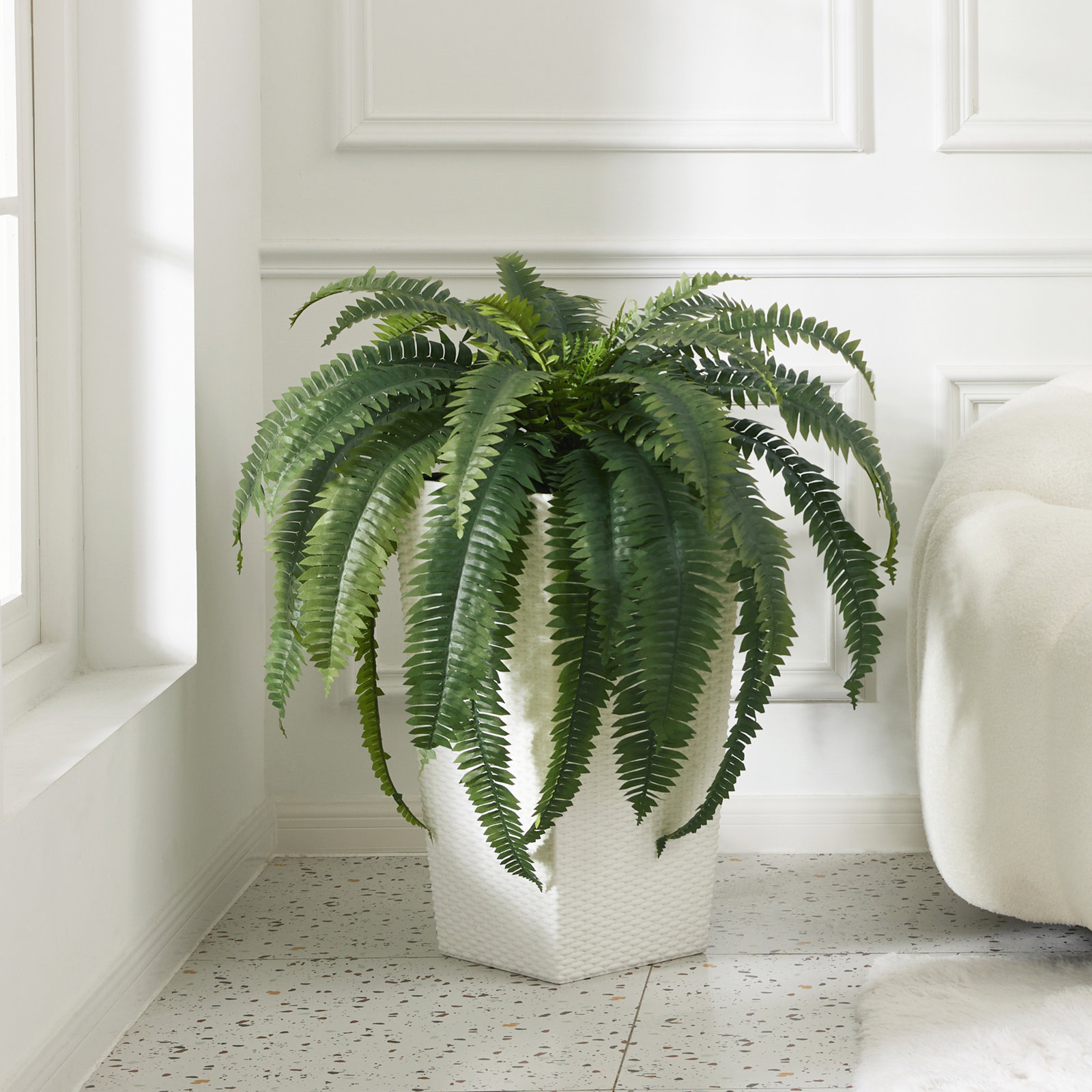 Adcock 39" Fern Plant, 4