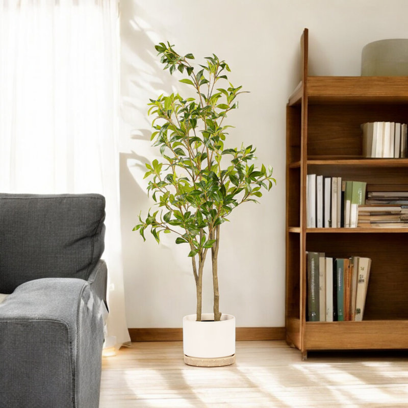 Artificial Pieris Tree In Nursery Pot, 48" H x 24" W x 24" D