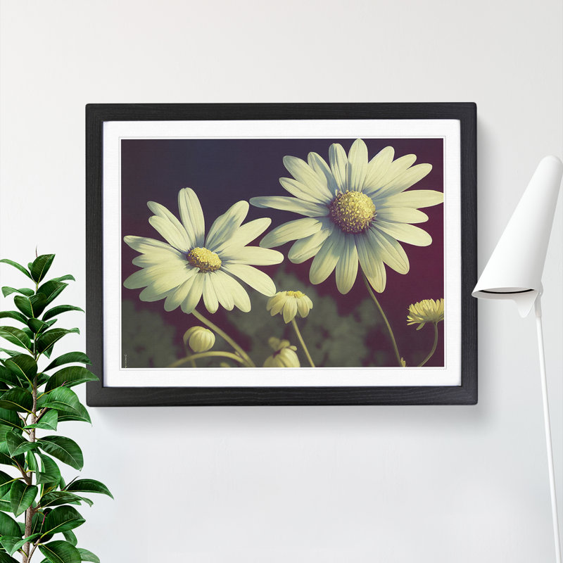 Fanciful Daisy Flowers 1 Piece Single Picture Frame Wall Art, 46cm H x 64cm W x 2cm D, Black Framed