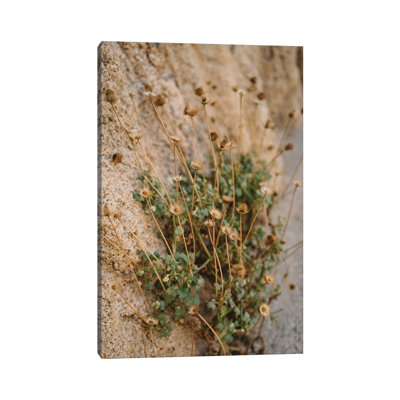Mexico Mountainside by Bethany Young - Print on Canvas