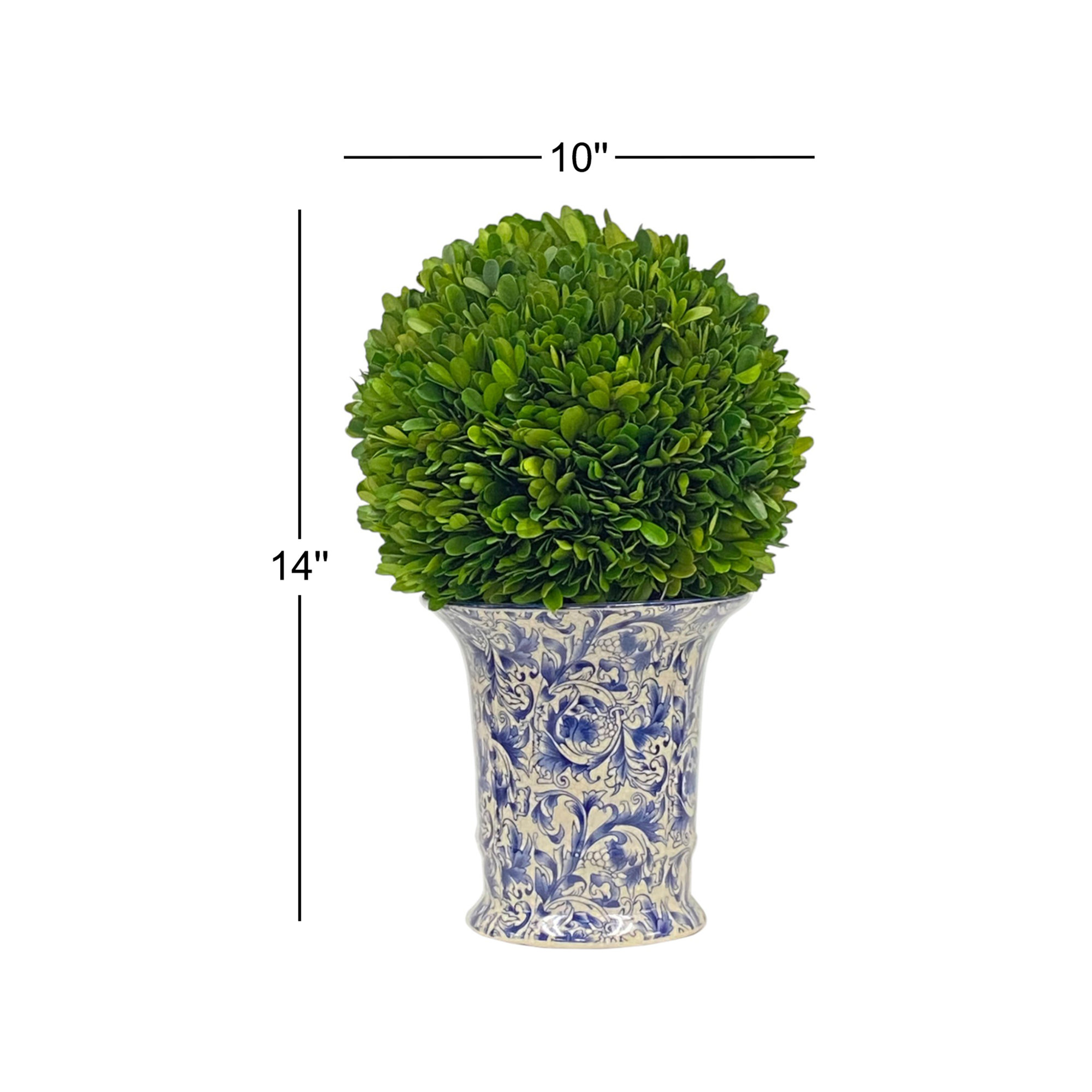 BOXWOOD BALL IN A VASE