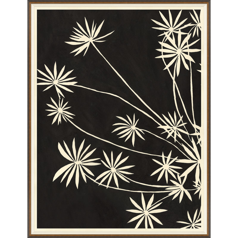 Sedum I Giclee Print by Susan Hable