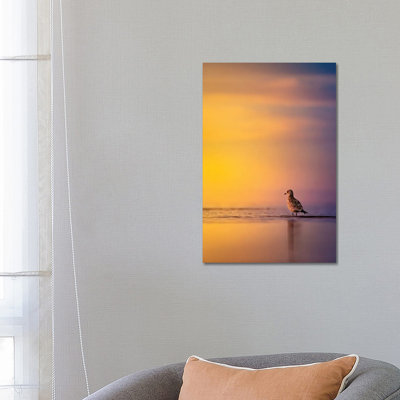 Sunrise Seagull 1 Piece Wrapped Canvas Wall Art