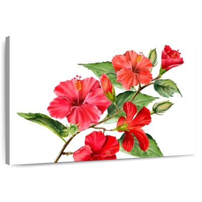 Branche de fleur d'hibiscus