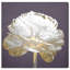 «Gold and Light Amethyst II», impression-255348424-255348468