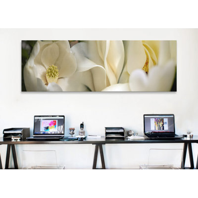 " Magnolia Flowers "