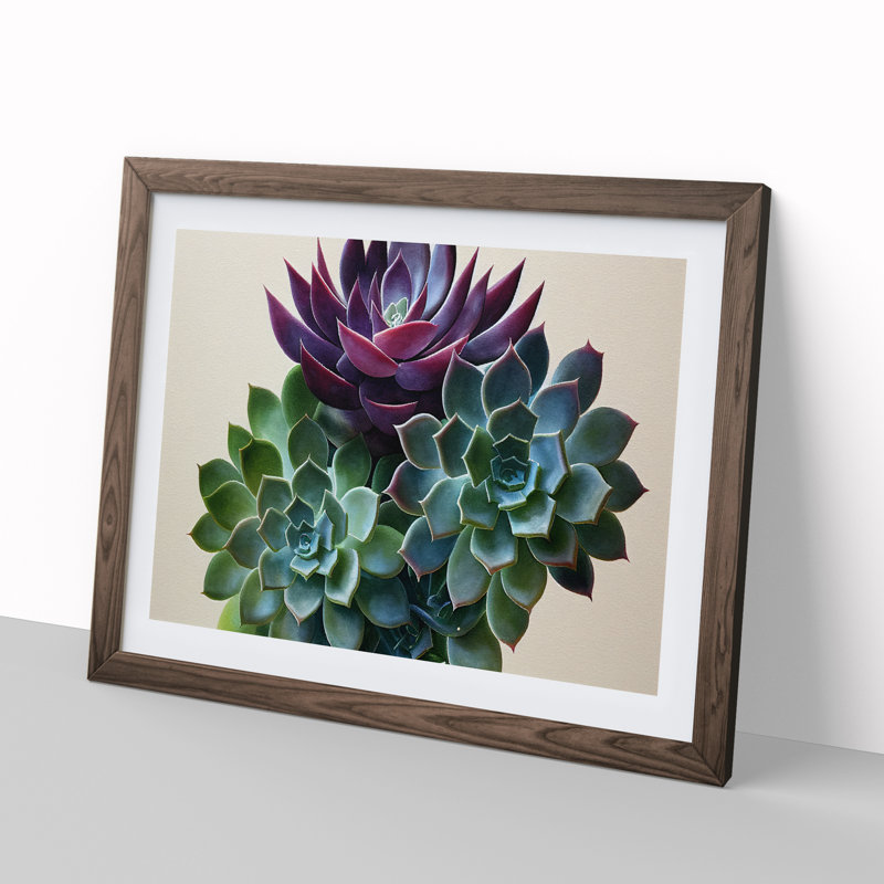 Watercolour Succulent Plant Vol.2 - Framed Print, 34cm H x 46cm W, Brown