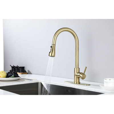Kitchen Faucet With Pull Out Spray, Brushed Gold Twinkling, Stainless Steel Expertise, 360 Rotating Prominent Nozzle, Corrosion And Rust Proposed, Single Handle Examined Spray Faucet, Glitter,