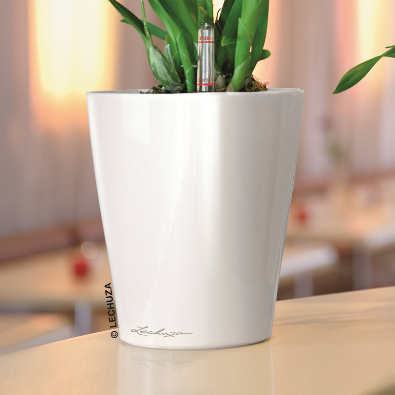 Deltini Pot Planter, White, 13cm H x 10cm W x 10cm D
