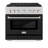 ZLINE 36 in. 5.2 cu. ft. Paramount Dual Fuel Range with 6 Burner Gas Cooktop and Electric Convection Oven in Satin Stainless Steel with Door-102903262