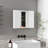1-Drawer Medicine Cabinet-557515398