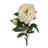 30" Peony Stem