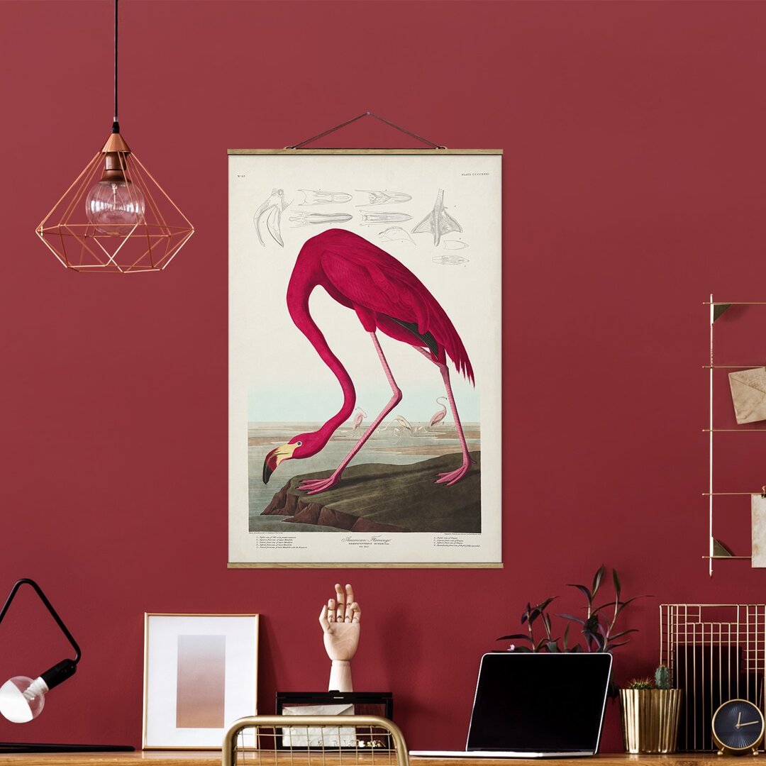 Stoffbild Vintage Bildungstafel Amerikanischer Flamingo