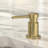 Kitchen Sink Soap Dispenser-109468914