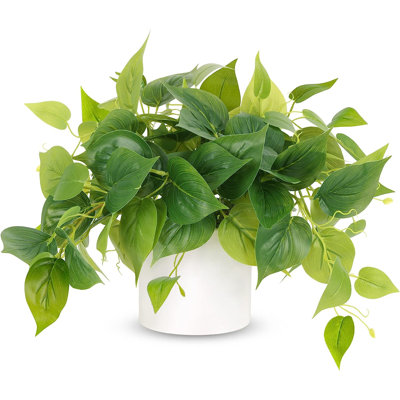 Faux Plants Indoor With Pots