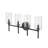 Breakwater Bay Adjuto 4 Light Vanity with Clear Beveled-566537509