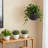 13.4 Inch Self-watering Hanging Rattan-inspired Planter Large Capacity, Root-rot Resistant Water Storage With Water Level Indicator, Dual-use For Indoor & Balcony Decoration Pack Of 2-2135272476