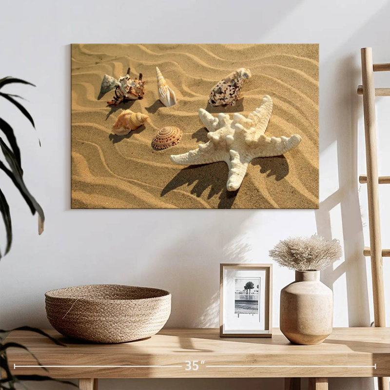 Gillard Sandy Seashells And Starfish, 16" H x 24" W