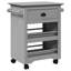 Kitchen Serving Cart-515615108