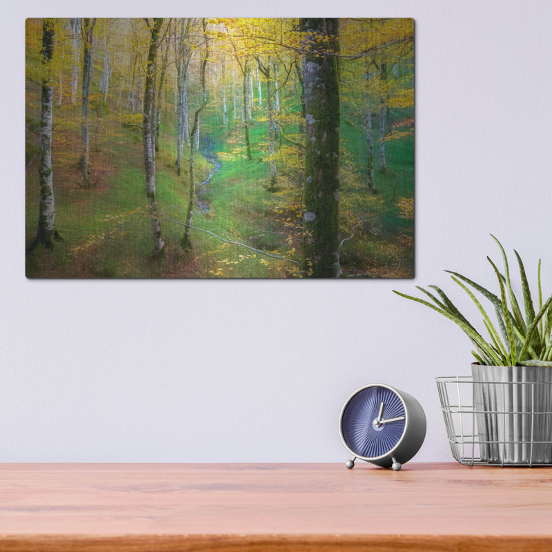 «Dream Of Birches» par Lars Van De Goor, H 12 po x l 16 po