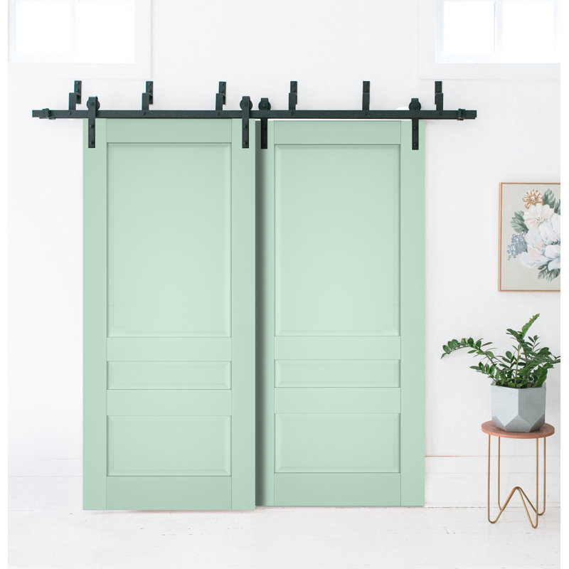 Portes de grange à panneaux en bois Veregio, 64 po x 80 po, Olive