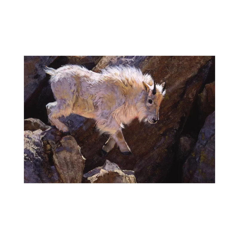 Rockhopper 1 Piece Wrapped Canvas Wall Art, 66.04 cm H x 45.72 cm W x 3.175 cm D