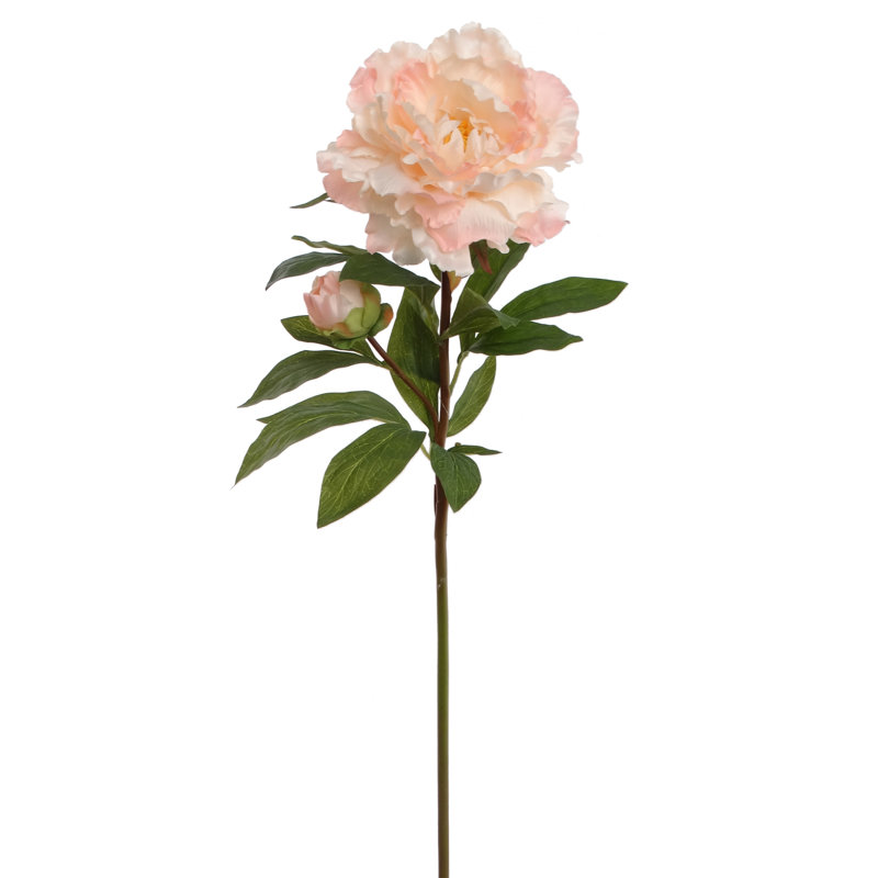 Tige de pivoine, Rose clair, 3