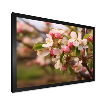 «Apple Blossom Petals At The Farm I», reproduction sur toile