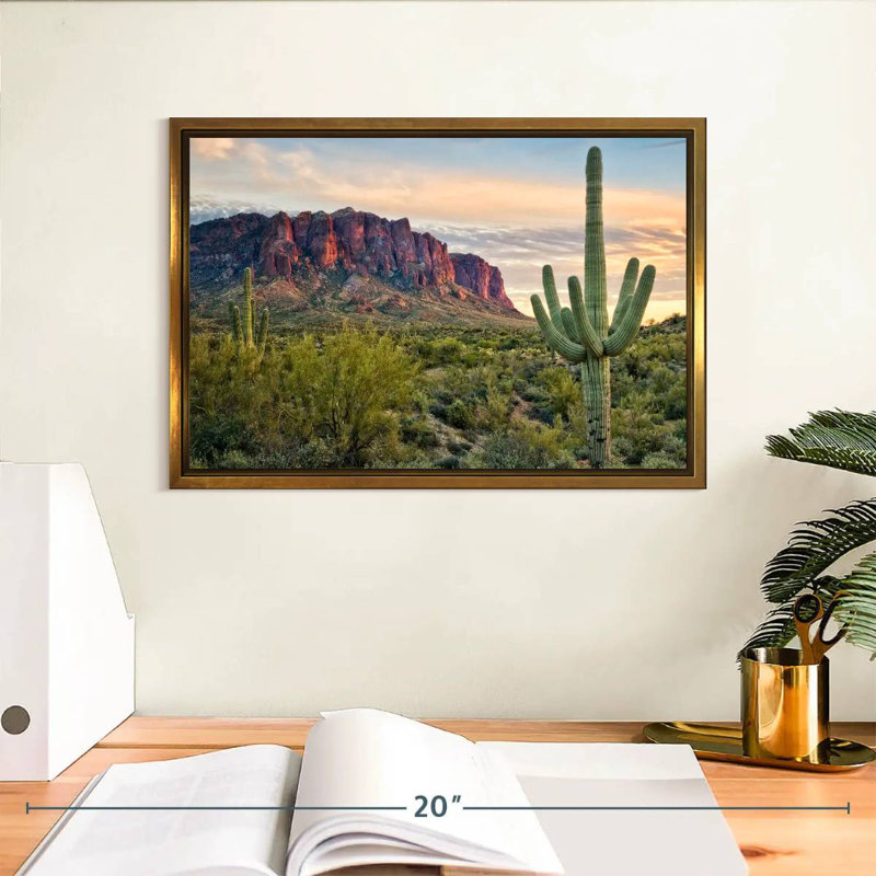 Cactus View II, Cadre flottant doré, 13 po x 9 po