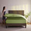  Ensemble de draps hypoallergéniques à double brossage 1800 Series-22057766-61322282