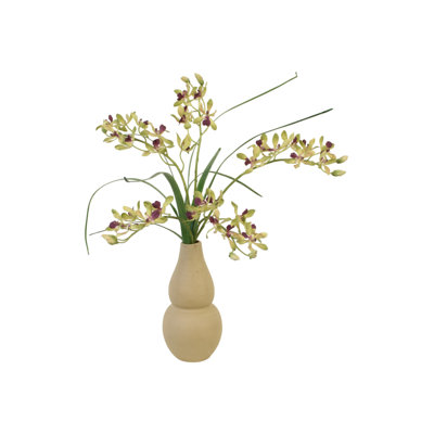 Orchidées vertes Vanda dans un vase Rio