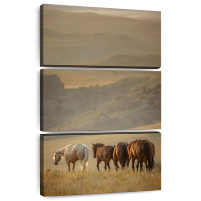 Brampt Sunkissed Horses VI