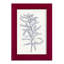 Indigo Botany Study II - impression d'un seul cadre photo-1723059173-1723059172
