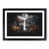 Black Framed