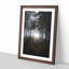White Wolf in a Forest - Picture Frame Painting Print-56854631-56854636