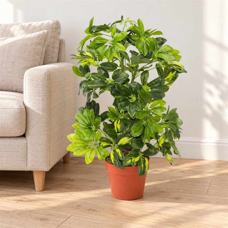 65 cm H Faux Ficus and Foliage Plant in Plastic Pot Liner