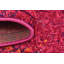 Tapis oriental rouge Nadene-29199368