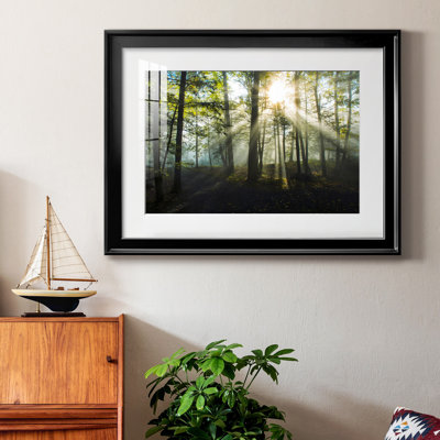 Light and Trees - Photographie avec cadre photo