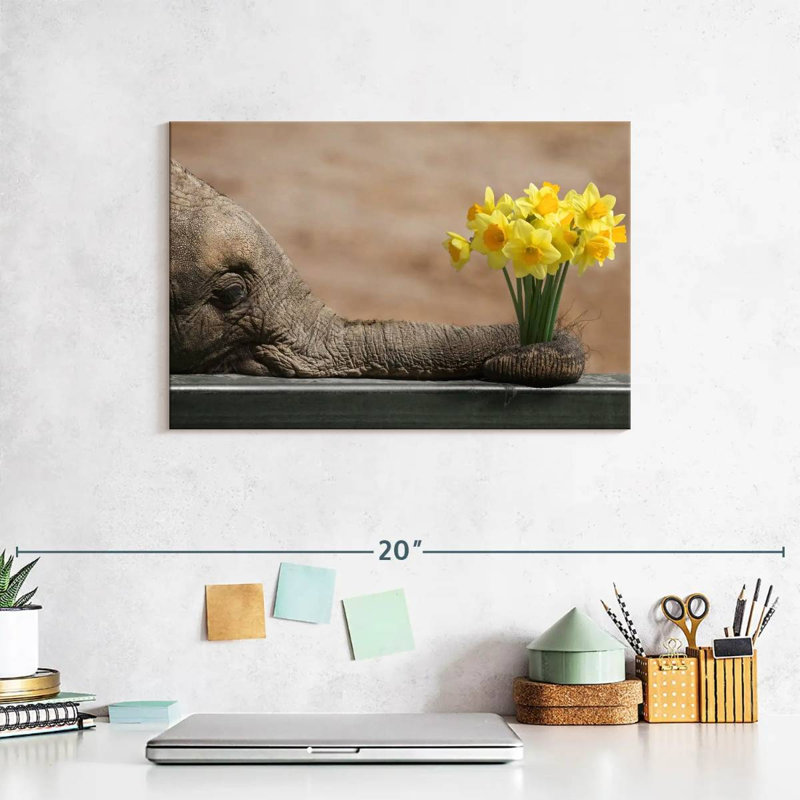 Elephant And Yellow Daffodil, 8" H x 12" W