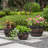 Evry Pot Planter-2122101807
