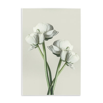 "White Flower Bundle" par Incado