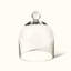 Glass Cloche-1573084680