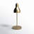 Danya Metal Gooseneck Task Table Lamp